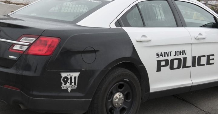 Officers under investigation after alleged altercation in Saint John, NB: police – New Brunswick